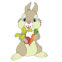 Zdrowo i szczęśliwie